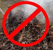 Abrennen von Gartenabfällen Verboten&nbsp;&copy;&nbsp;Stadt Wurzen