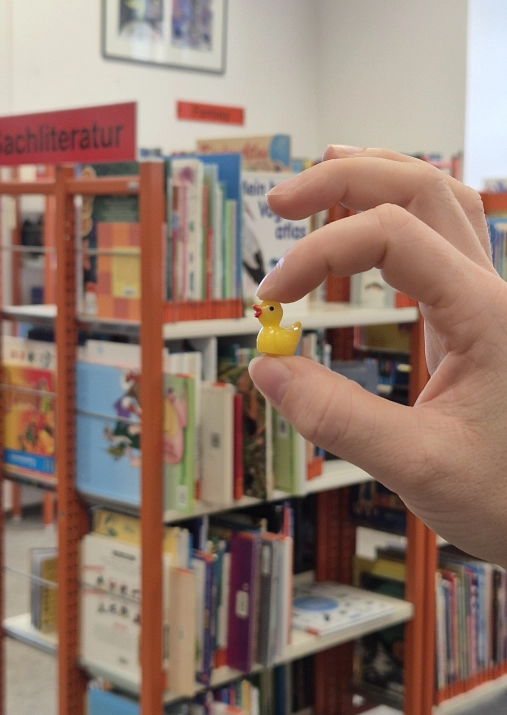Eine kleine Ente vor einem Bibliotheksregal.