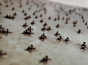 Nocken auf der Rückseite der Lochplatten im Detail © KulturBetrieb Wurzen