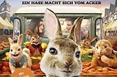 Peter Hase 2
