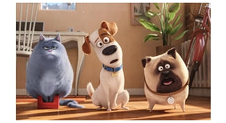 Pets
