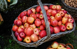 771482_erntezeit-herbst_rainersturm_pixelio klein.jpg