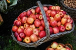771482_erntezeit-herbst_rainersturm_pixelio klein.jpg