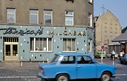 Cover Buch Cordia Schlegelmilch, Cover.jpg