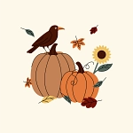 Hanin AbouzeidPixabay.png