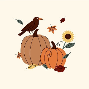 Hanin AbouzeidPixabay.png