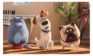 pets.jpg