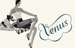 Venus_web-Beitragsbild.png