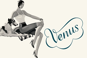 Venus_web-Beitragsbild.png